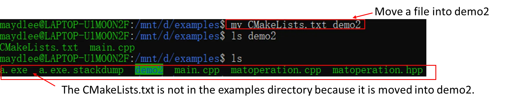 image-20250427223256136