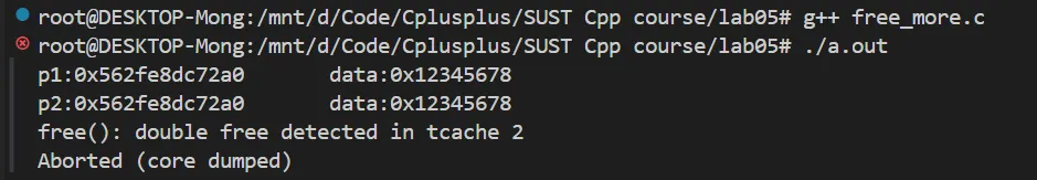 image-20250501162300804