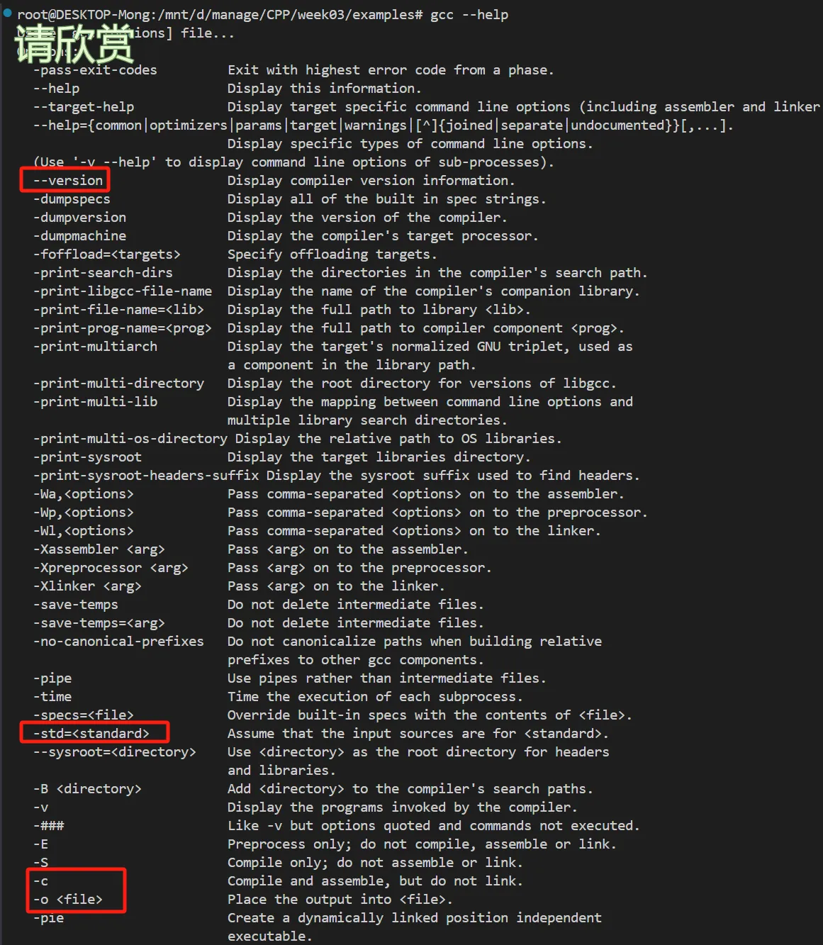 image-20250427225829509