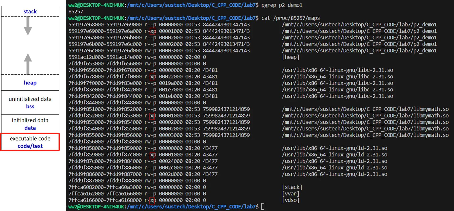 image-20250512174632993