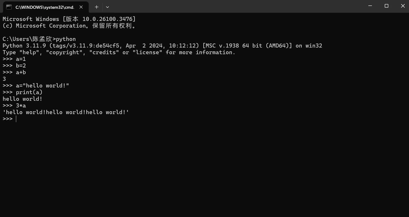 image-20250520163709546