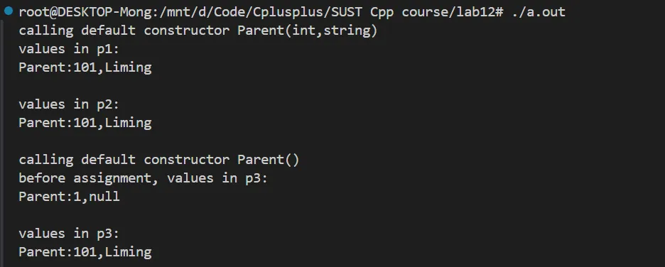 image-20250601215359962