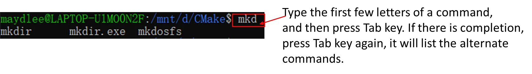 image-20250427225604450